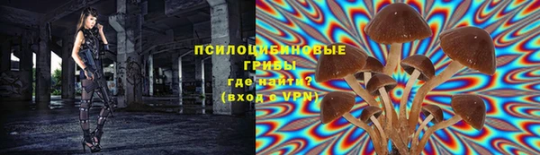 мяу мяу мука Алексин