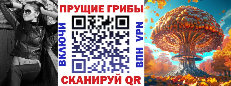 omg маркетплейс  купить наркотик  даркнет состав  Псилоцибиновые грибы Cubensis  Дзержинский 